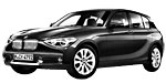 BMW F20 P1E80 Fault Code
